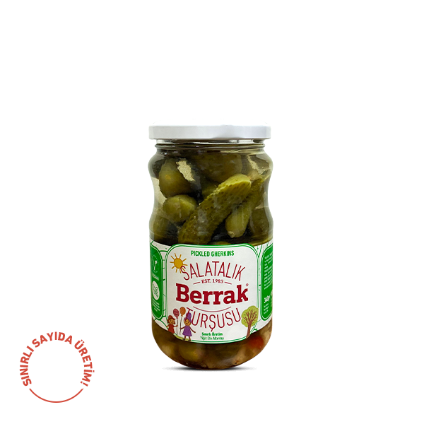 Salatalık Turşusu 23 Nisan Özel-1 370 ml