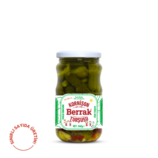 Salatalık Turşusu 19 Mayıs Özel-2 370 ml